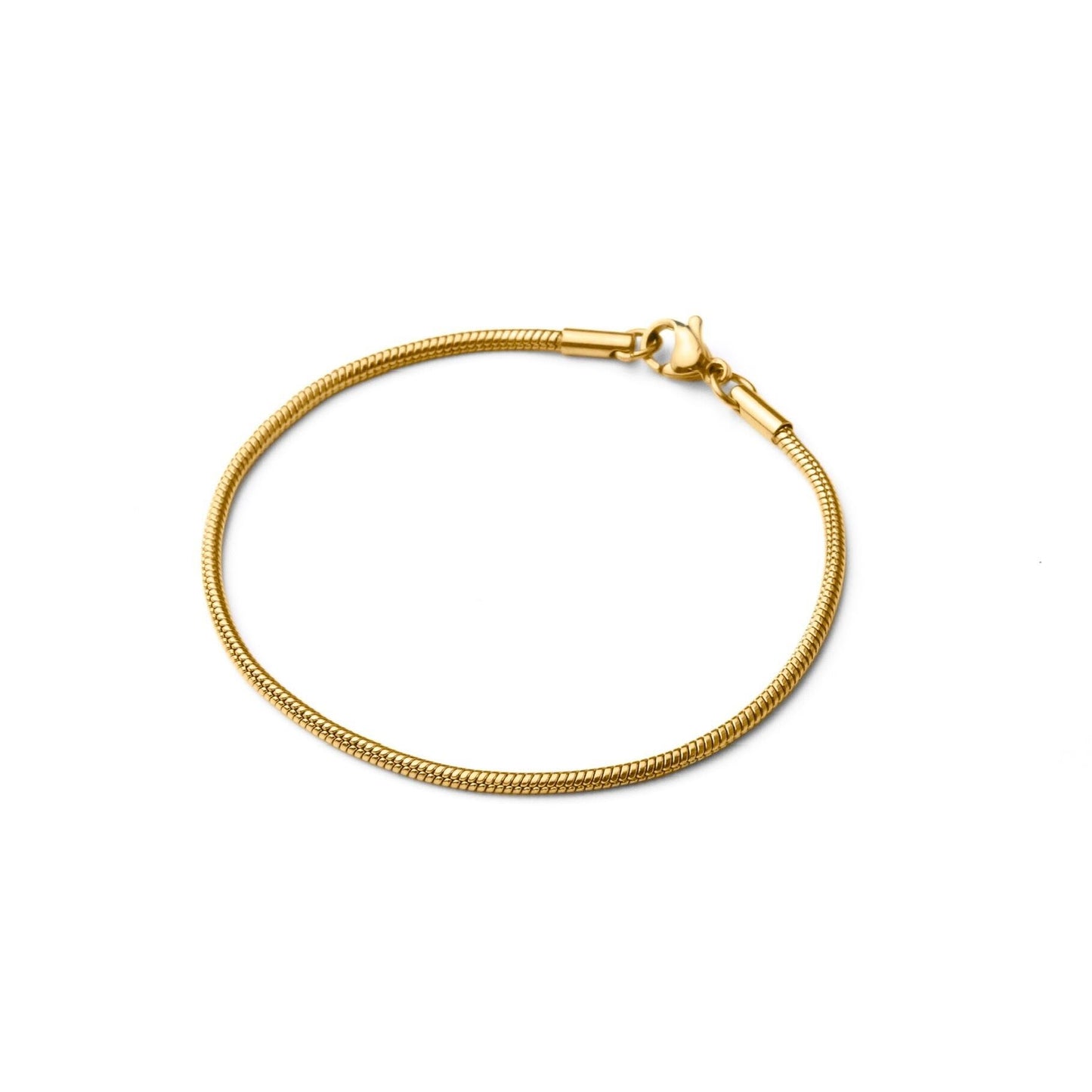 Round snake chain bracelet(cbr0028g)