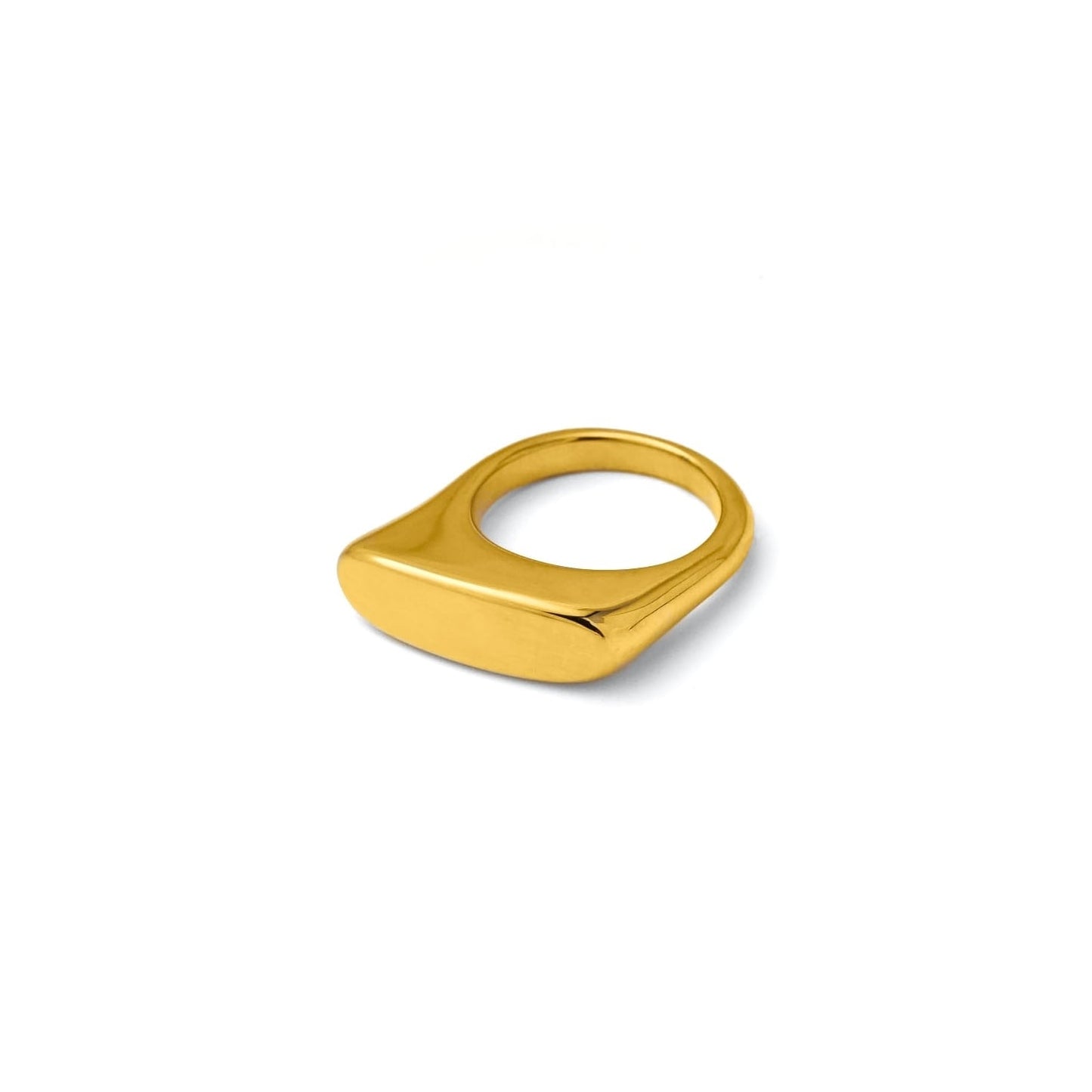 Unique ellipse signet ring(rri0063g)