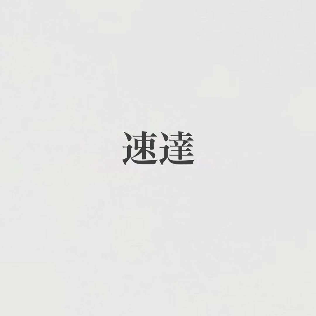 【速達】(csOption)