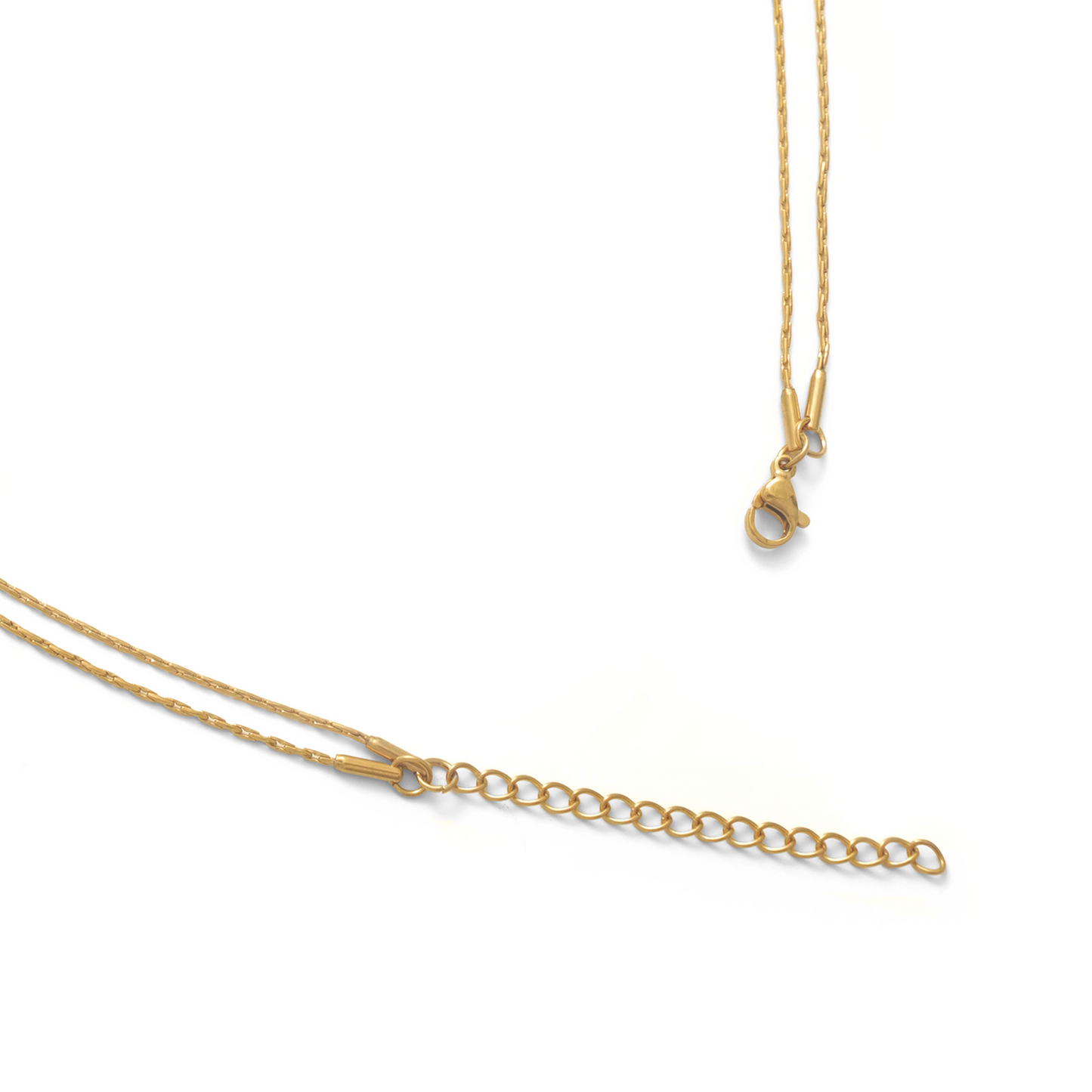Double chain necklace (rne0109g)