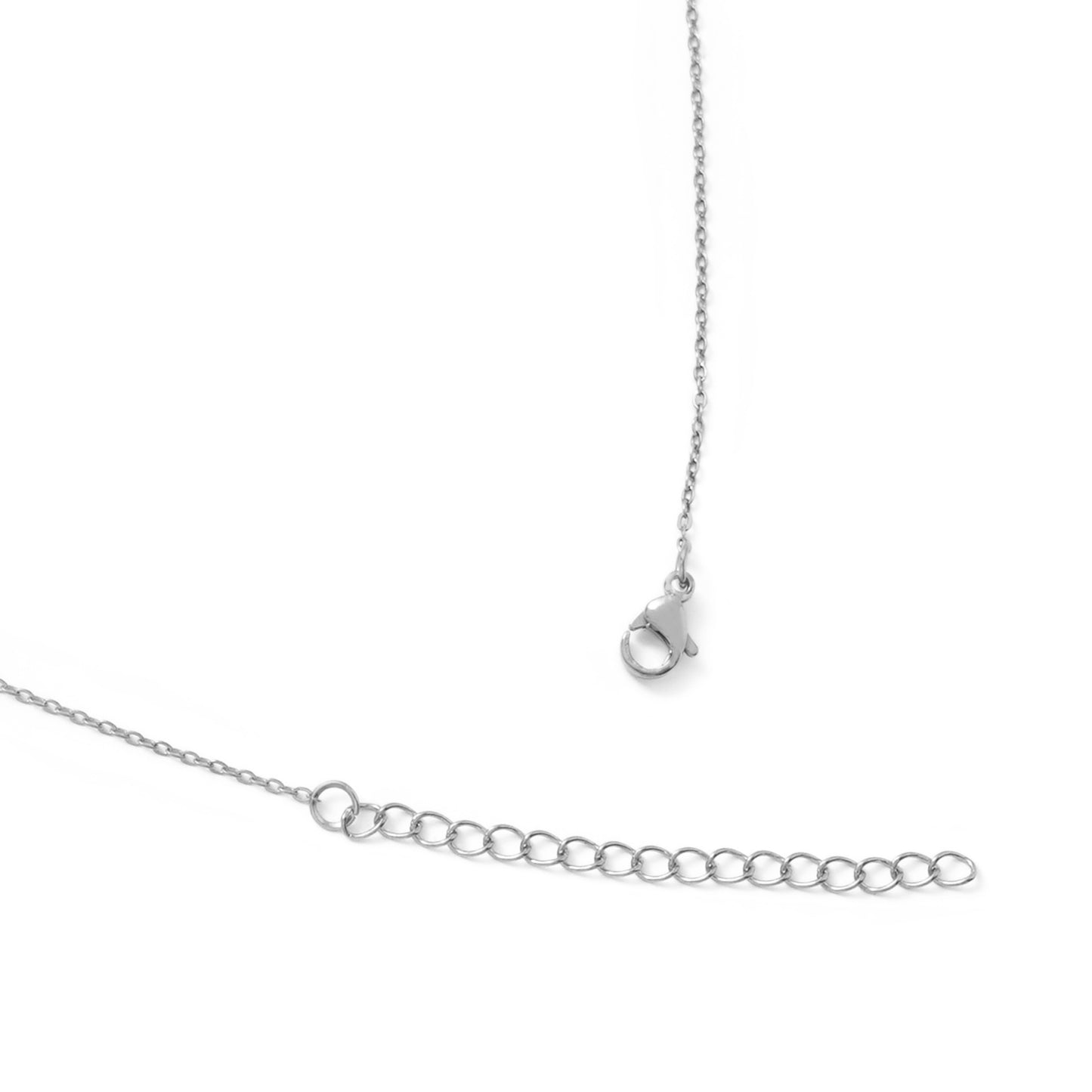 Horseshoe necklace(cne0084s)
