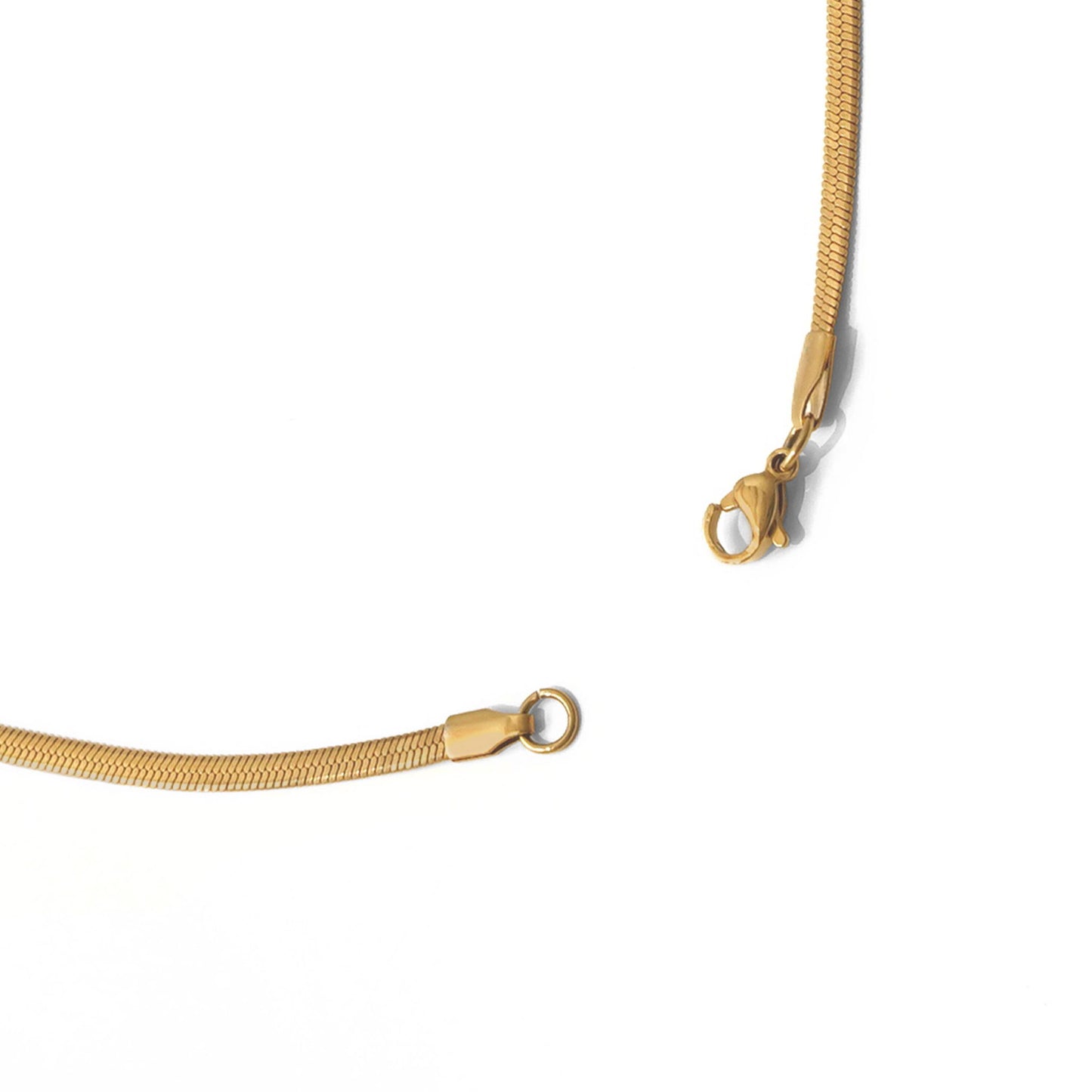 Flat snake chain necklace(cne0022g)