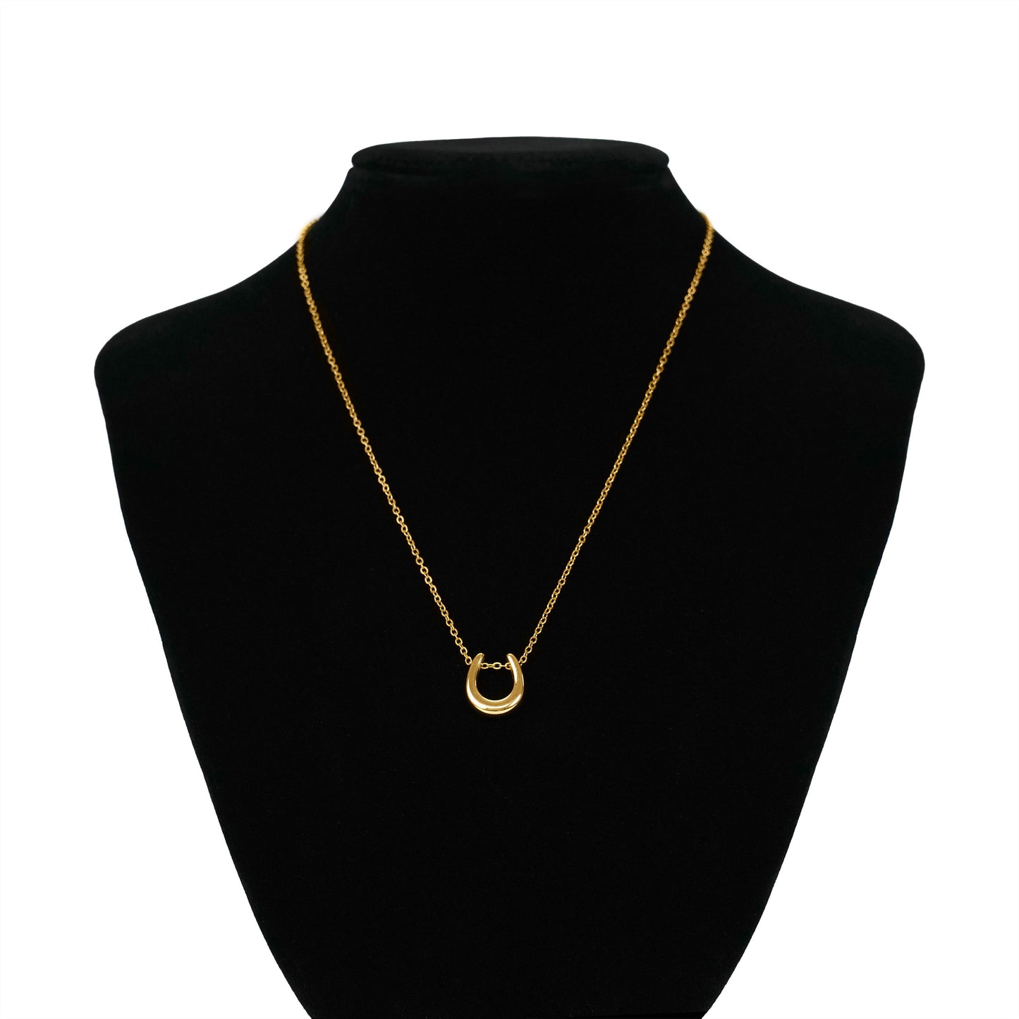 Horseshoe necklace(cne0083g)