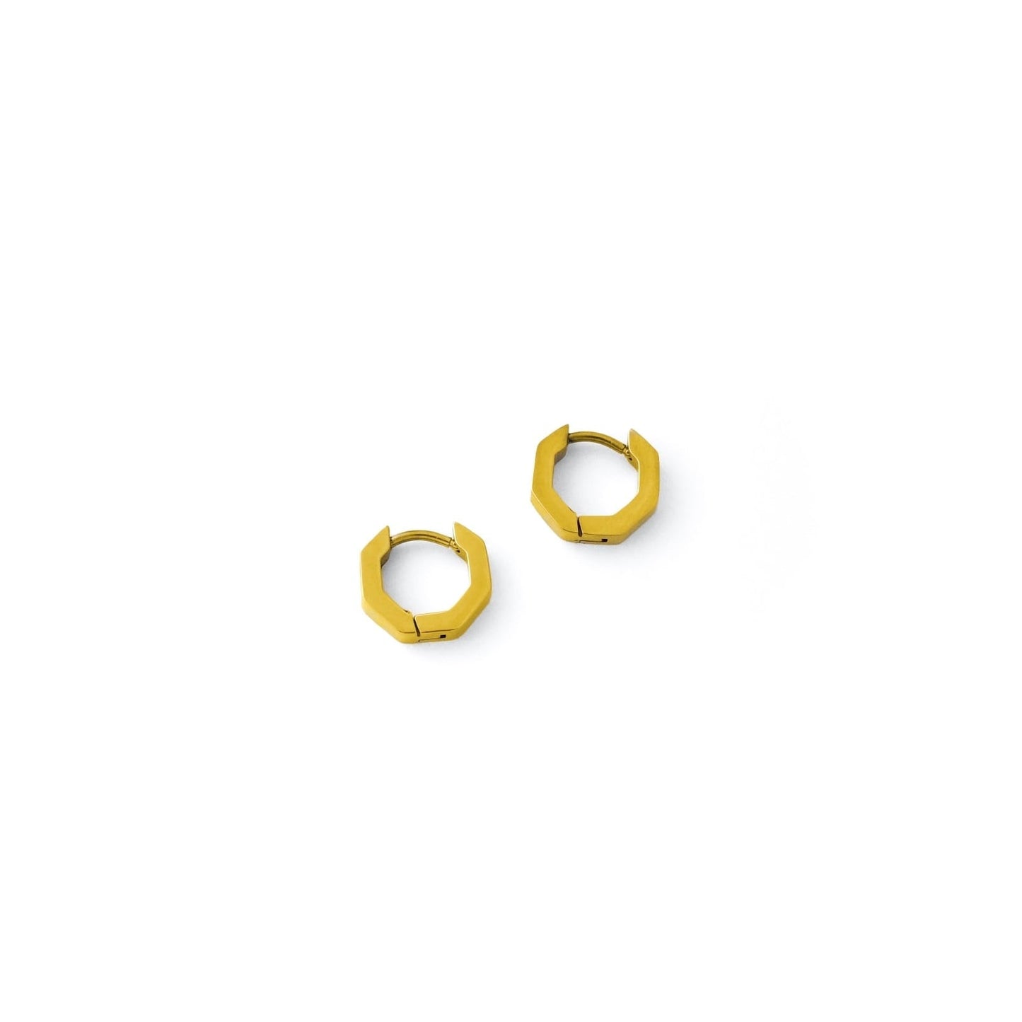 Octagon hoop pierce(rpi0037g)