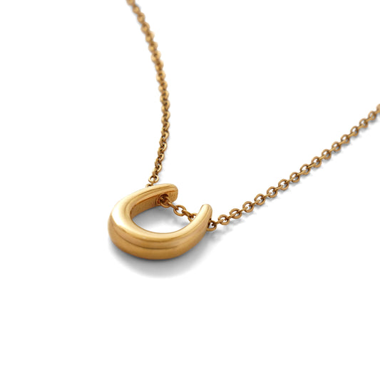 Horseshoe necklace(cne0083g)