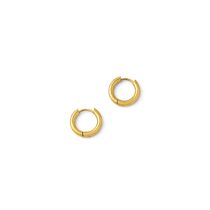 Small hoop pierce(rpi0009g)