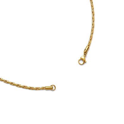 Dual oval chain necklace (cne0114g)