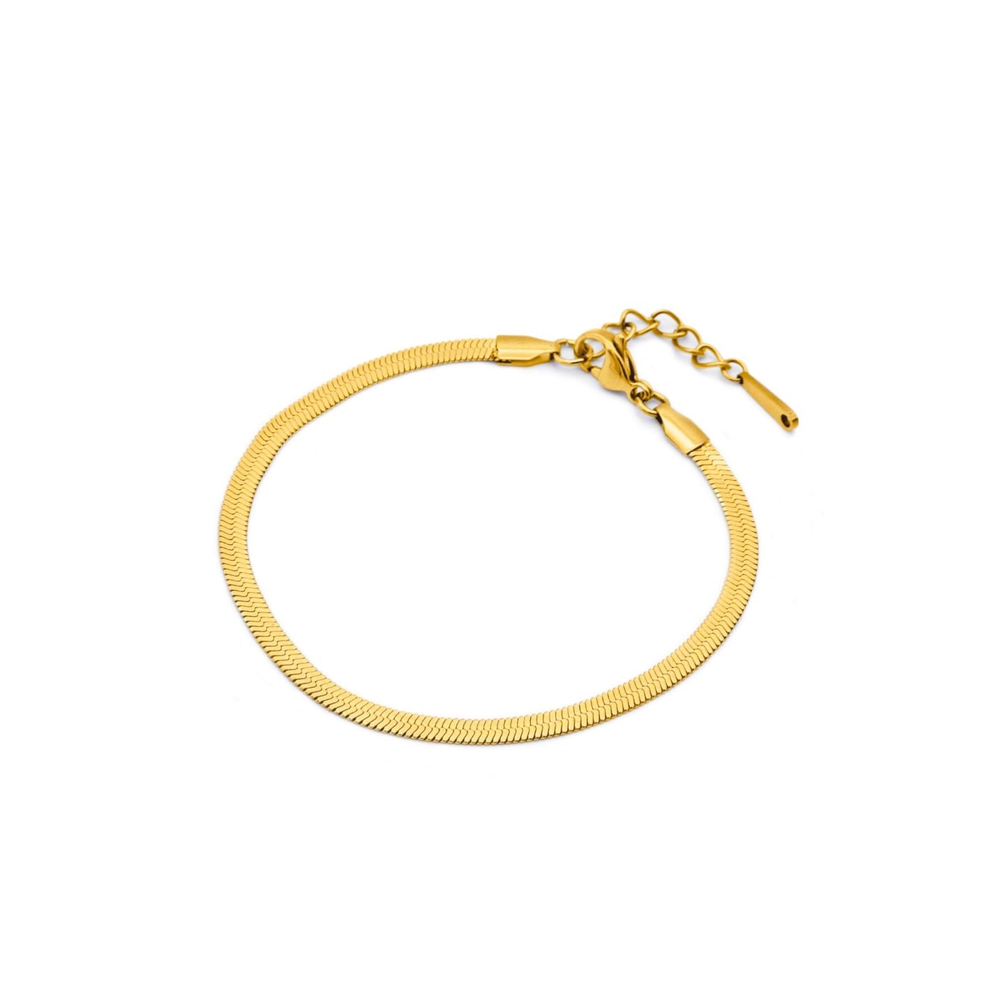 T　Flat snake chain anklet(can0003g)