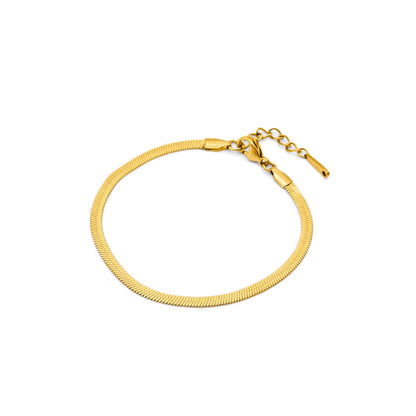 T　Flat snake chain anklet(can0003g)