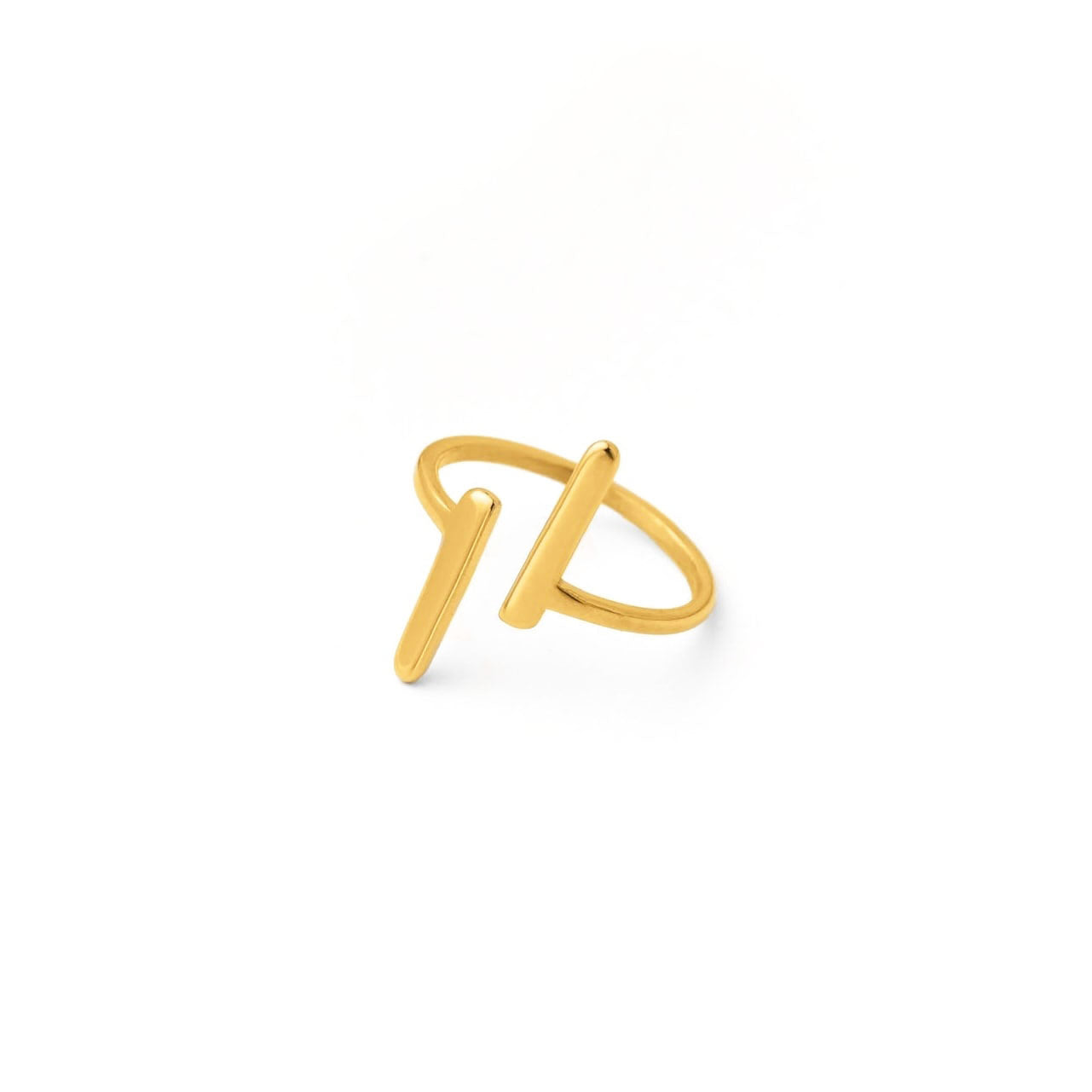 T　Initial ring(rri0020g)