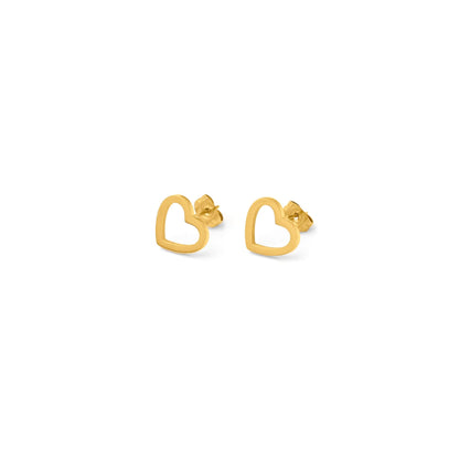 T　Open heart pierce(rpi0042g)