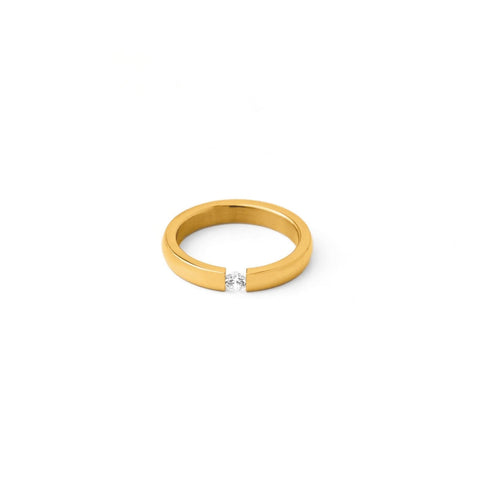 Single zirconia ring(rri0040g)