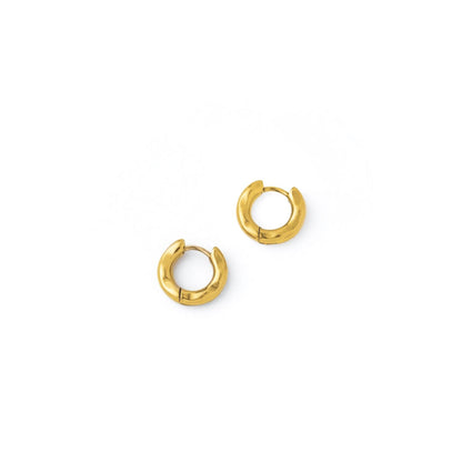 Small curve hoop pierce(rpi0035g)