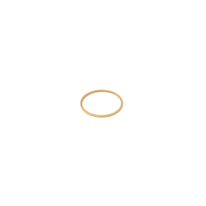 Tiny thin ring(rri0083g)