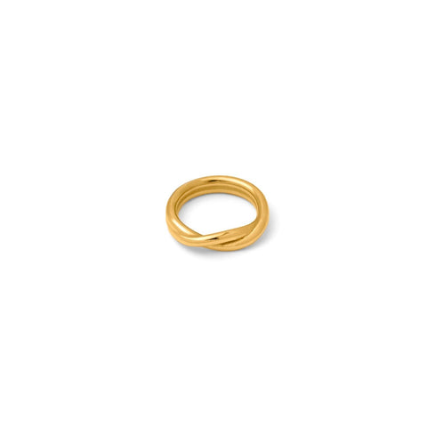 Double twist ring(rri0049g)