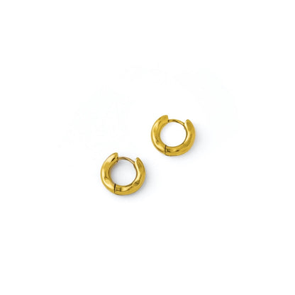 Small curve hoop pierce(rpi0035g)